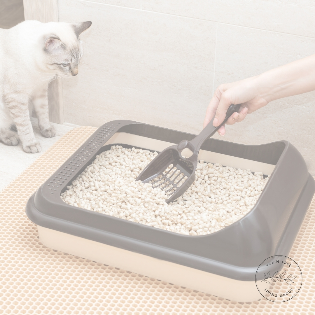 Cat Litter